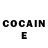 COCAIN Fish Scale Spektor Shad