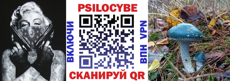 Галлюциногенные грибы Cubensis  omg зеркало  Сысерть 